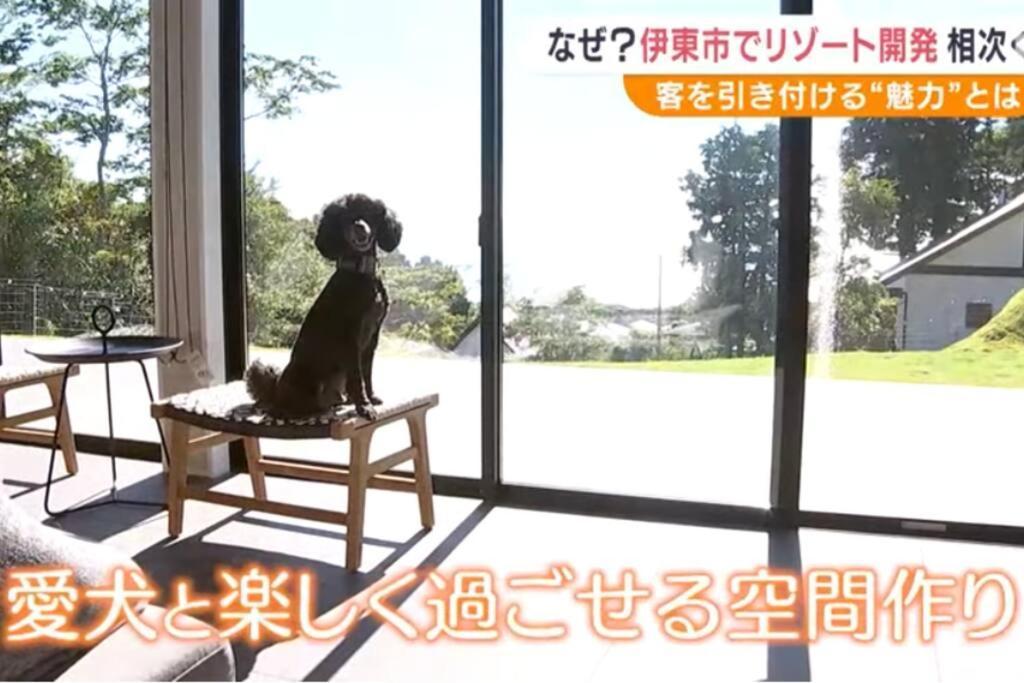 Doggo伊豆　愛犬と過ごす最高の時間の為に造られた貸切宿。温泉、プライベートドッグランで最高の一時を。 Villa Ito  Buitenkant foto